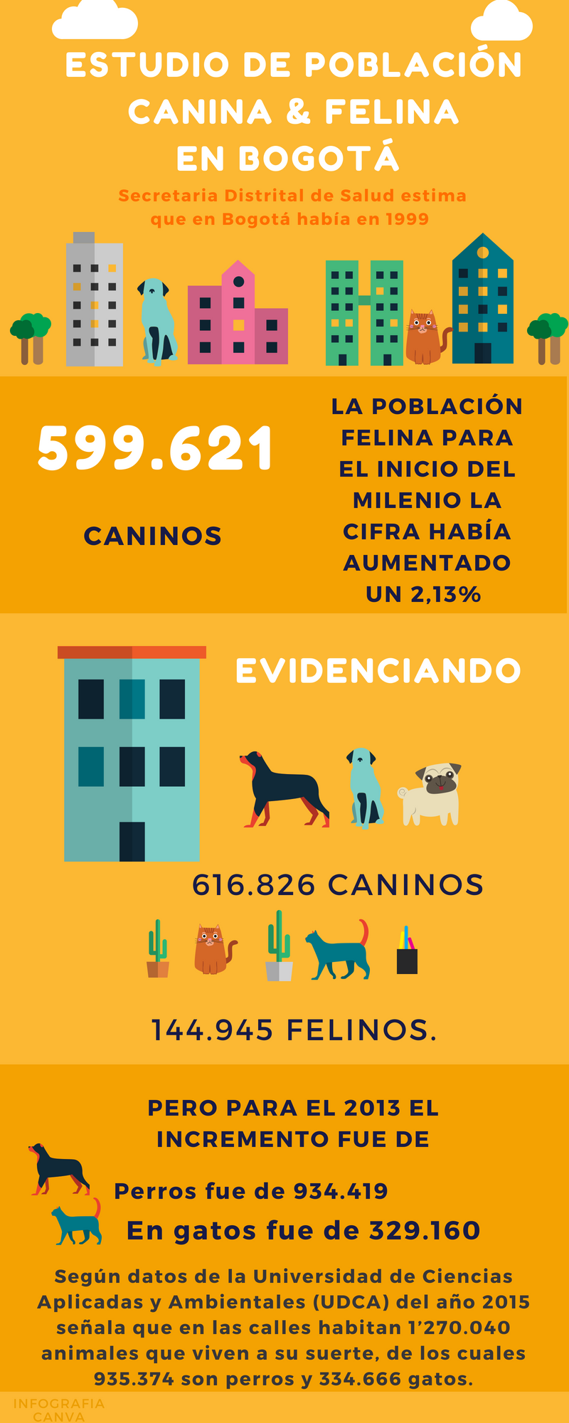 Para María Alejandra Mariño es importante saber cuando uno adquiere un animal que trae la raza o la mezcla Lola desarrolló artrosis degenerativa en rodillas vinculada con su parte labrador. Foto: Doggies University, Escuela de adiestramiento canino.